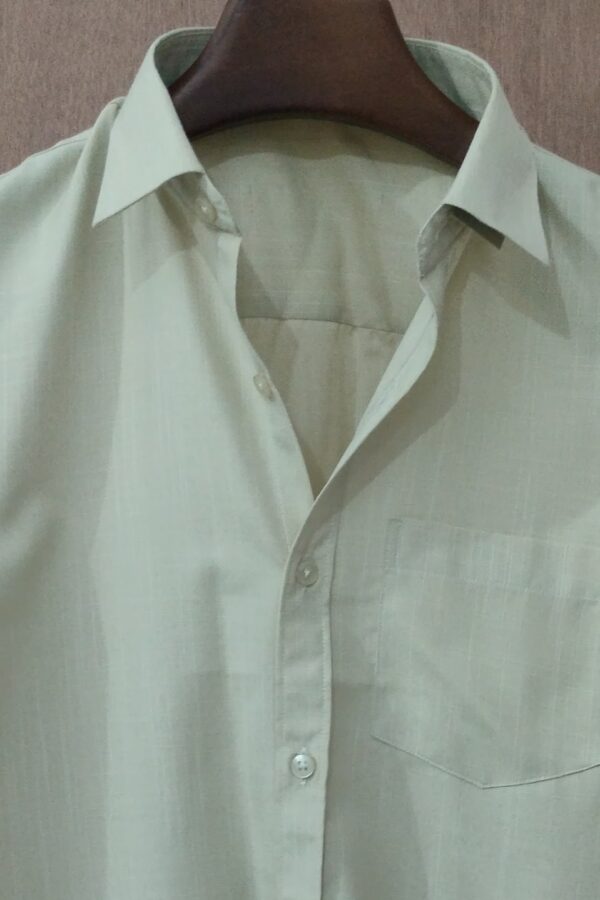 Pale Olive Textured Solid Shirt
